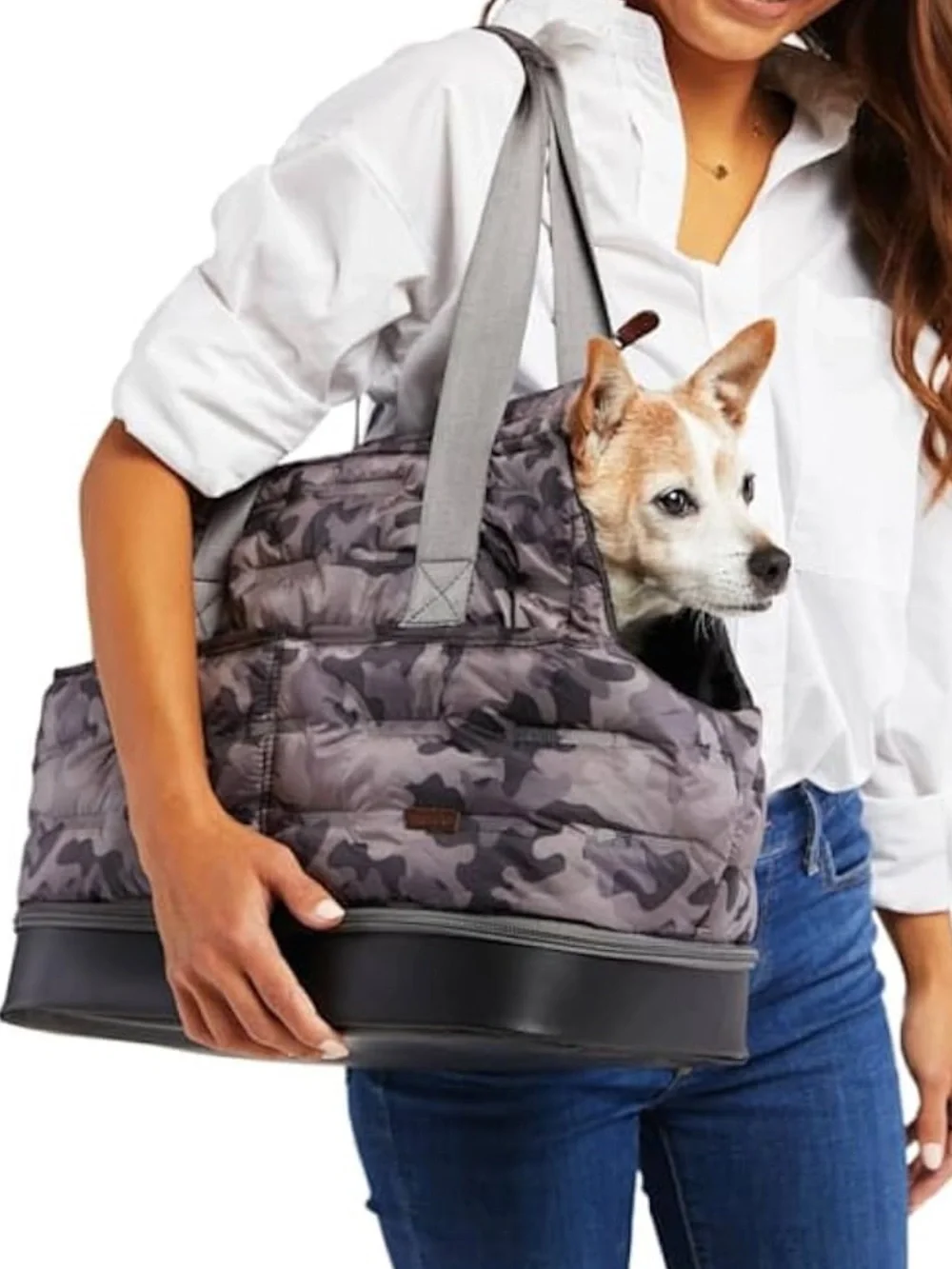 Reddy Petco Brand Blue Open Top Tote for Dogs, 16